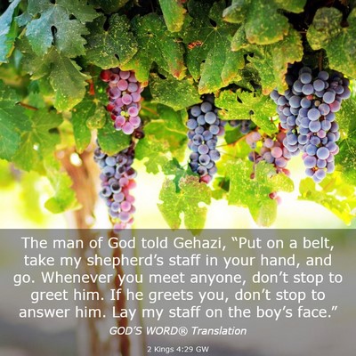 Picture 03 - 2 Kings 4:29 GW - The man of God told Gehazi, “Put on a belt, - Bible Verse Picture