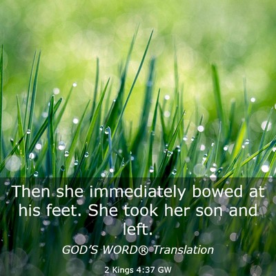 Picture 03 - 2 Kings 4:37 GW - Then she immediately bowed at his feet. She took - Bible Verse Picture
