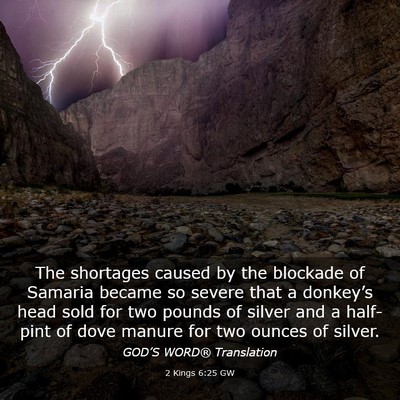 Picture 03 - 2 Kings 6:25 GW - The shortages caused by the blockade of Samaria - Bible Verse Picture