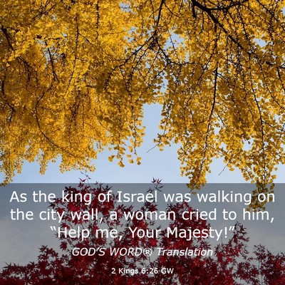 Picture 03 - 2 Kings 6:26 GW - As the king of Israel was walking on the city - Bible Verse Picture