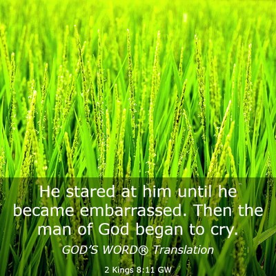 Picture 03 - 2 Kings 8:11 GW - He stared at him until he became embarrassed. - Bible Verse Picture