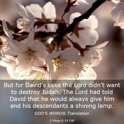 Picture 03 - 2 Kings 8:19 GW - But for David’s sake the Lord didn’t want to - Bible Verse Picture