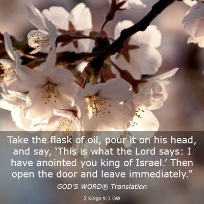 Picture 03 - 2 Kings 9:3 GW - Take the flask of oil, pour it on his head, and - Bible Verse Picture