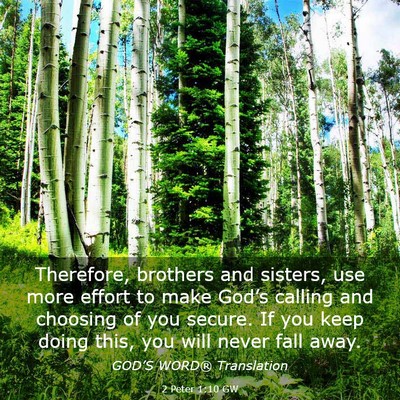 Picture 03 - 2 Peter 1:10 GW - Therefore, brothers and sisters, use more effort - Bible Verse Picture