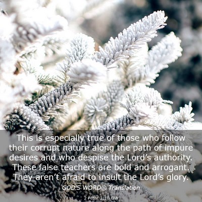Picture 03 - 2 Peter 2:10 GW - This is especially true of those who follow their - Bible Verse Picture