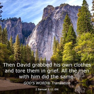Picture 03 - 2 Samuel 1:11 GW - Then David grabbed his own clothes and tore them - Bible Verse Picture