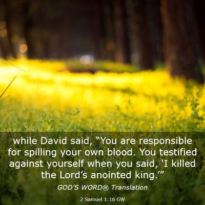Picture 03 - 2 Samuel 1:16 GW - while David said, “You are responsible for - Bible Verse Picture