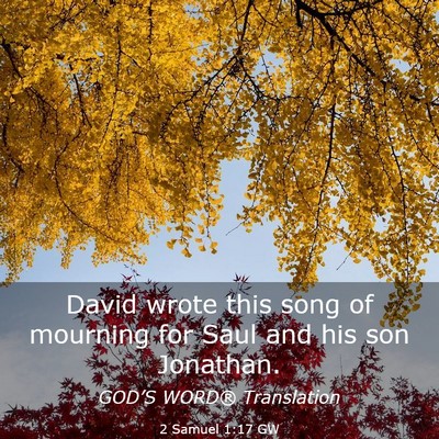 Picture 03 - 2 Samuel 1:17 GW - David wrote this song of mourning for Saul and - Bible Verse Picture