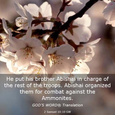 Picture 03 - 2 Samuel 10:10 GW - He put his brother Abishai in charge of the rest - Bible Verse Picture