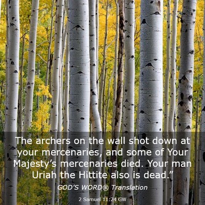 Picture 03 - 2 Samuel 11:24 GW - The archers on the wall shot down at your - Bible Verse Picture