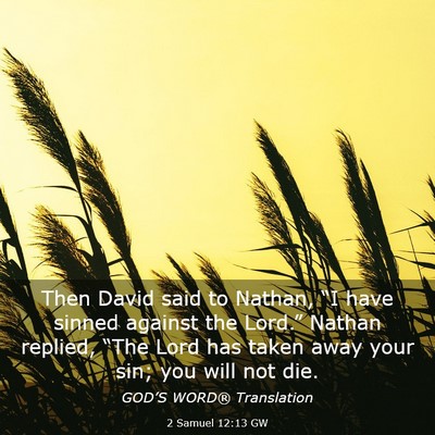 Picture 03 - 2 Samuel 12:13 GW - Then David said to Nathan, “I have sinned - Bible Verse Picture