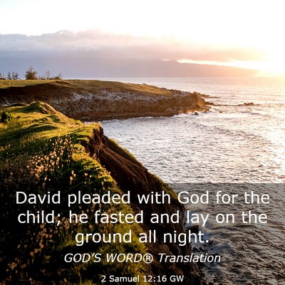 Picture 03 - 2 Samuel 12:16 GW - David pleaded with God for the child; he fasted - Bible Verse Picture