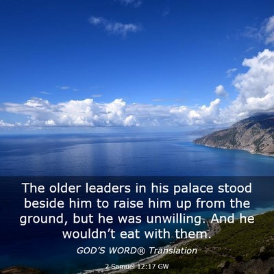 Picture 03 - 2 Samuel 12:17 GW - The older leaders in his palace stood beside him - Bible Verse Picture
