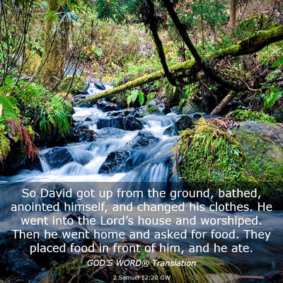 Picture 03 - 2 Samuel 12:20 GW - So David got up from the ground, bathed, anointed - Bible Verse Picture