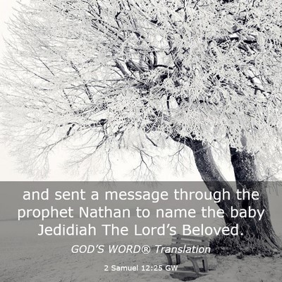 Picture 03 - 2 Samuel 12:25 GW - and sent a message through the prophet Nathan to - Bible Verse Picture
