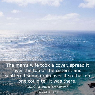 Picture 03 - 2 Samuel 17:19 GW - The man’s wife took a cover, spread it over the - Bible Verse Picture