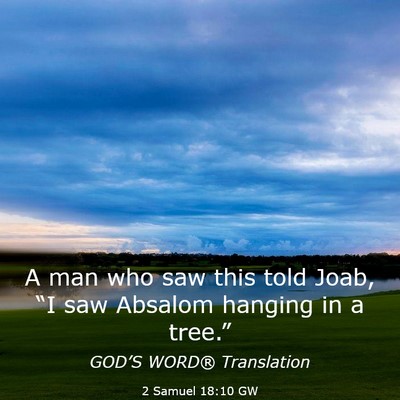 Picture 03 - 2 Samuel 18:10 GW - A man who saw this told Joab, “I saw Absalom - Bible Verse Picture
