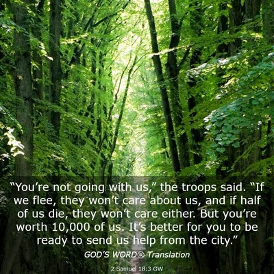 Picture 03 - 2 Samuel 18:3 GW - “You’re not going with us,” the troops - Bible Verse Picture