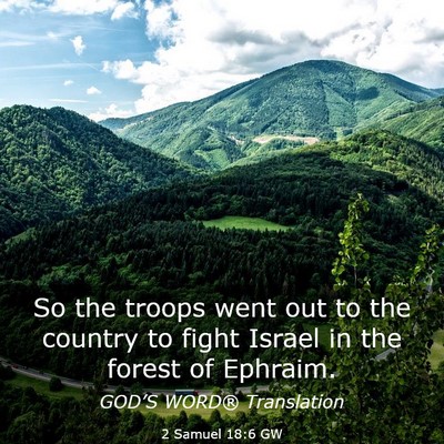 Picture 03 - 2 Samuel 18:6 GW - So the troops went out to the country to fight - Bible Verse Picture