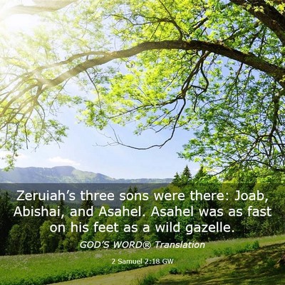 Picture 03 - 2 Samuel 2:18 GW - Zeruiah’s three sons were there: Joab, Abishai, - Bible Verse Picture