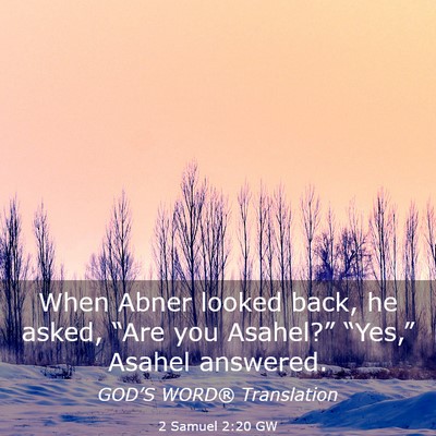 Picture 03 - 2 Samuel 2:20 GW - When Abner looked back, he asked, “Are you - Bible Verse Picture