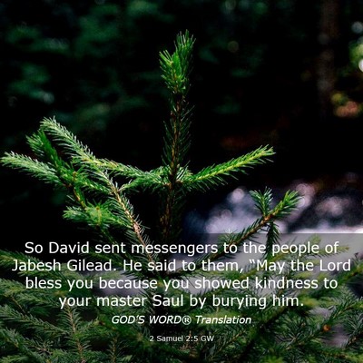 Picture 03 - 2 Samuel 2:5 GW - So David sent messengers to the people of Jabesh - Bible Verse Picture