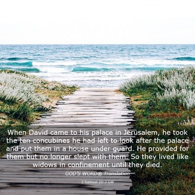 Picture 03 - 2 Samuel 20:3 GW - When David came to his palace in Jerusalem, he - Bible Verse Picture