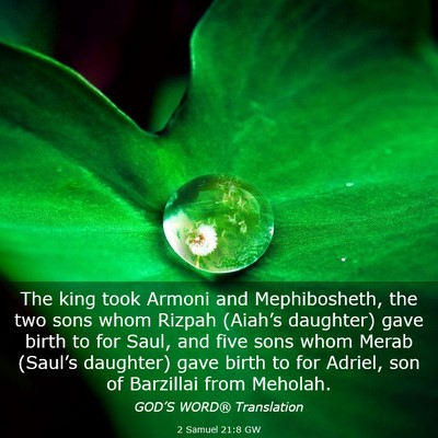 Picture 03 - 2 Samuel 21:8 GW - The king took Armoni and Mephibosheth, the two - Bible Verse Picture