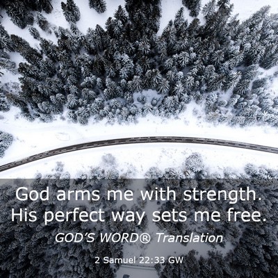 Picture 03 - 2 Samuel 22:33 GW - God arms me with strength. His perfect way sets - Bible Verse Picture