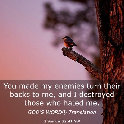 Picture 03 - 2 Samuel 22:41 GW - You made my enemies turn their backs to me, and I - Bible Verse Picture