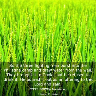 Picture 03 - 2 Samuel 23:16 GW - So the three fighting men burst into the - Bible Verse Picture