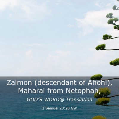 Picture 03 - 2 Samuel 23:28 GW - Zalmon (descendant of Ahohi), Maharai from - Bible Verse Picture