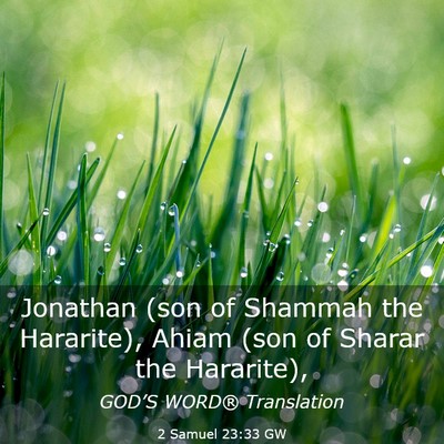 Picture 03 - 2 Samuel 23:33 GW - Jonathan (son of Shammah the Hararite), Ahiam - Bible Verse Picture