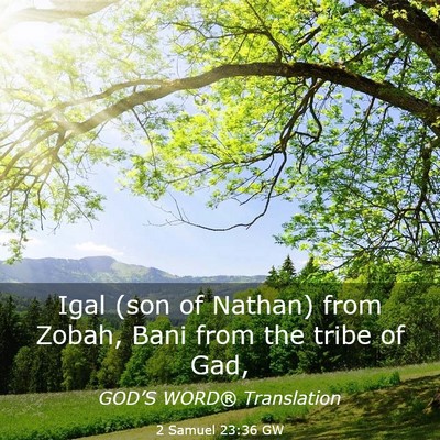 Picture 03 - 2 Samuel 23:36 GW - Igal (son of Nathan) from Zobah, Bani from the - Bible Verse Picture