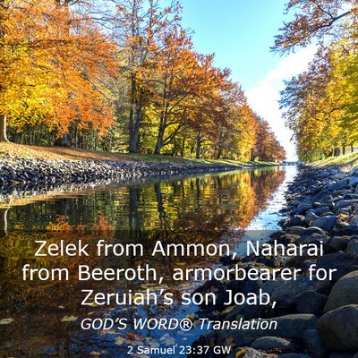 Picture 03 - 2 Samuel 23:37 GW - Zelek from Ammon, Naharai from Beeroth, - Bible Verse Picture