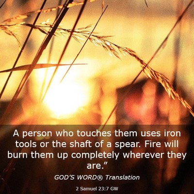 Picture 03 - 2 Samuel 23:7 GW - A person who touches them uses iron tools or the - Bible Verse Picture