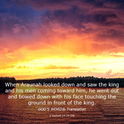 Picture 03 - 2 Samuel 24:20 GW - When Araunah looked down and saw the king and his - Bible Verse Picture