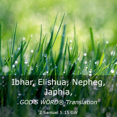 Picture 03 - 2 Samuel 5:15 GW - Ibhar, Elishua, Nepheg, - Bible Verse Picture