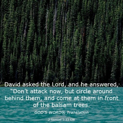 Picture 03 - 2 Samuel 5:23 GW - David asked the Lord, and he answered, “Don’t - Bible Verse Picture