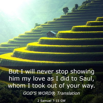 Picture 03 - 2 Samuel 7:15 GW - But I will never stop showing him my love as I - Bible Verse Picture