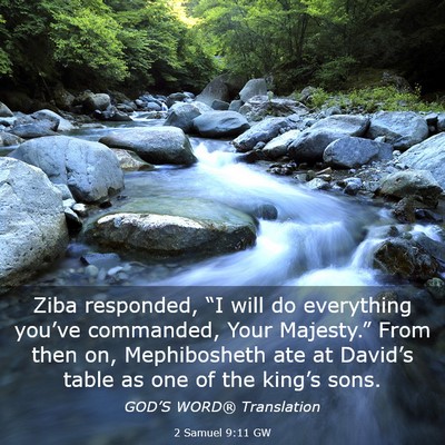 Picture 03 - 2 Samuel 9:11 GW - Ziba responded, “I will do everything you’ve - Bible Verse Picture