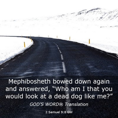 Picture 03 - 2 Samuel 9:8 GW - Mephibosheth bowed down again and answered, - Bible Verse Picture