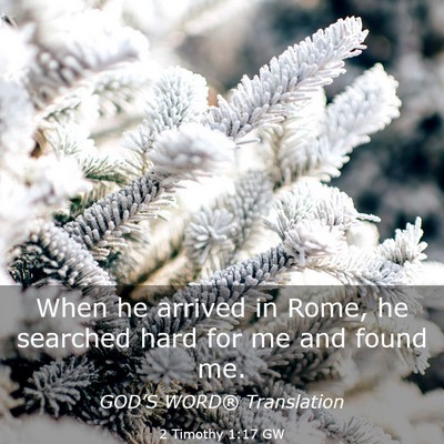 Picture 03 - 2 Timothy 1:17 GW - When he arrived in Rome, he searched hard for me - Bible Verse Picture