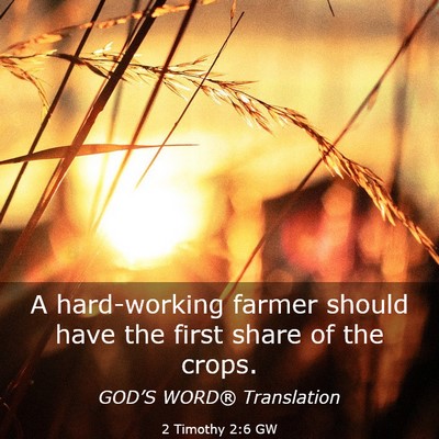 Picture 03 - 2 Timothy 2:6 GW - A hard-working farmer should have the first share - Bible Verse Picture