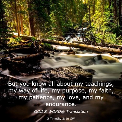Picture 03 - 2 Timothy 3:10 GW - But you know all about my teachings, my way of - Bible Verse Picture