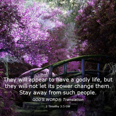 Picture 03 - 2 Timothy 3:5 GW - They will appear to have a godly life, but they - Bible Verse Picture