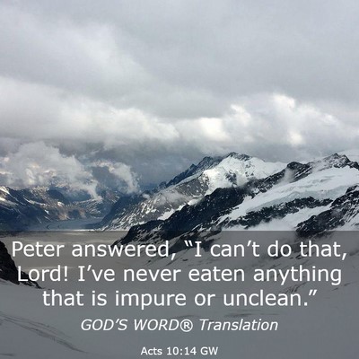Picture 03 - Acts 10:14 GW - Peter answered, “I can’t do that, Lord! - Bible Verse Picture
