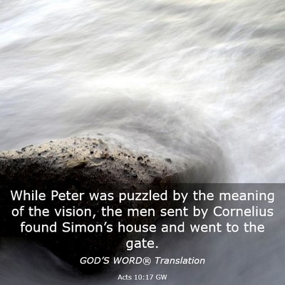 Picture 03 - Acts 10:17 GW - While Peter was puzzled by the meaning of the - Bible Verse Picture