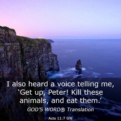 Picture 03 - Acts 11:7 GW - I also heard a voice telling me, ‘Get up, - Bible Verse Picture