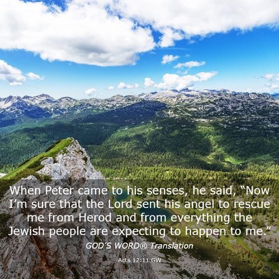 Picture 03 - Acts 12:11 GW - When Peter came to his senses, he said, “Now - Bible Verse Picture